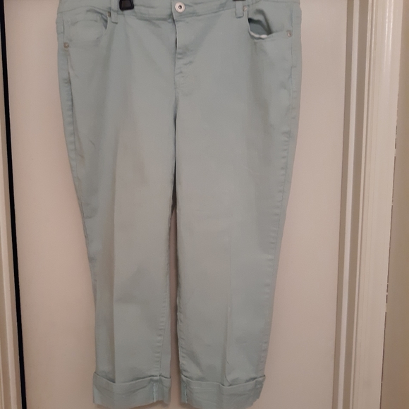 Style & Co.  Capri - Picture 1 of 7